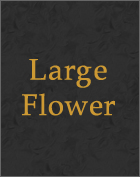 Large Flower