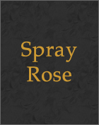 Spray Rose